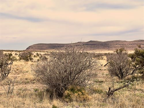 20 Acres Texas Dark Sky Ranch : Sierra Blanca : Hudspeth County : Texas