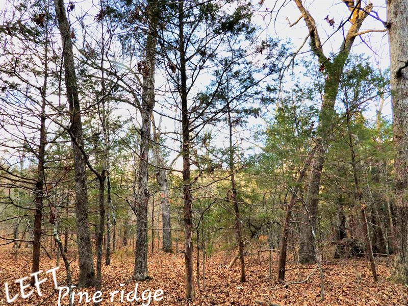 Upscale Lake Lot Close to The Water : Horseshoe Bend : Izard County : Arkansas