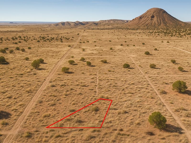 1.65 Acre Sweeping Mountain Views : Concho : Apache County : Arizona