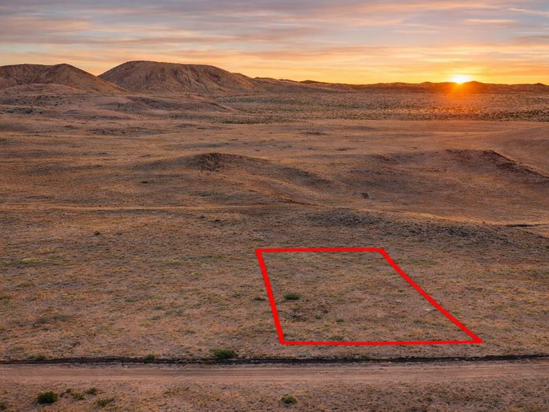 1 Acre Near Lake O' The Pines, $15 : Concho : Apache County : Arizona