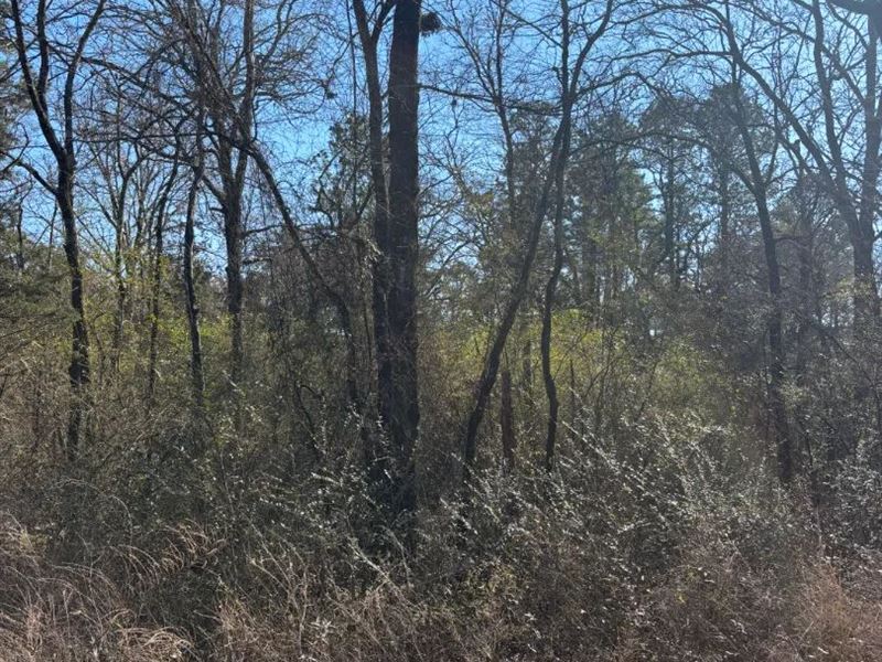 .11 Acre Lot in Leflore County, OK : Smithville : Le Flore County : Oklahoma