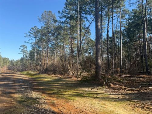King Estates Lot 6 10-Acre Wooded : Ruston : Lincoln Parish : Louisiana