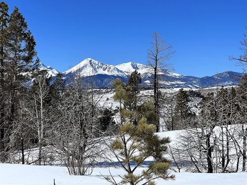 Land with Trees in Gated Community : Fort Garland : Costilla County : Colorado