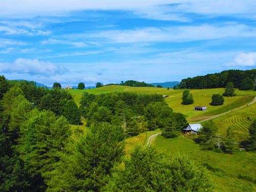 1.74 Acres Laurel Springs NC : Laurel Springs : Ashe County : North Carolina