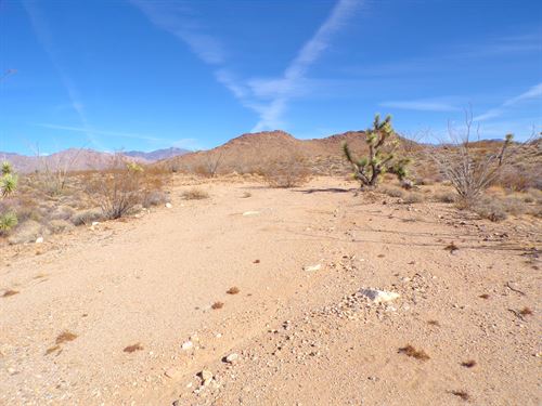 Quiet Land Near Miles of Open Space : Yucca : Mohave County : Arizona