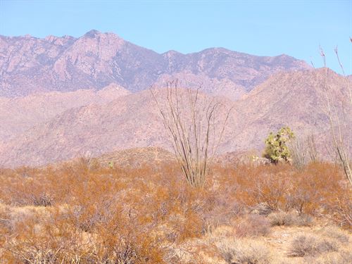 Off-Road Adventure for 4X4 & Bikes : Yucca : Mohave County : Arizona
