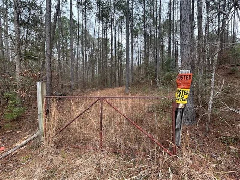 6 Acres / Wilkinson County,Ms : Woodville : Wilkinson County : Mississippi