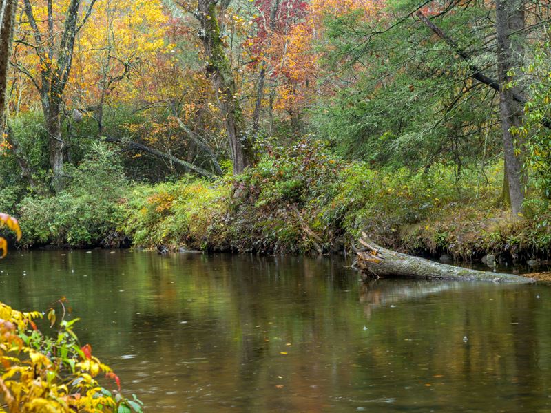 Triple Lot with A Pond : Garrison : Mille Lacs County : Minnesota