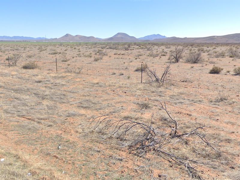 Wide Skies, Quiet Acre : Sunizona : Cochise County : Arizona