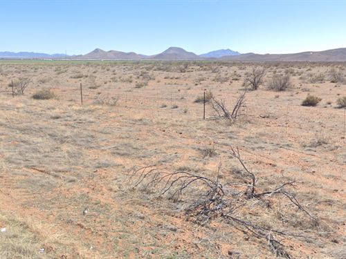 Wide Skies, Quiet Acre : Sunizona : Cochise County : Arizona