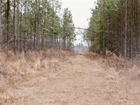 Bunn Store Road, Tract 2 : Midville : Burke County : Georgia