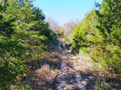 .31 Acres Near Diamond Lake : Horseshoe Bend : Izard County : Arkansas