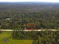 Suwannee River Park Estates Lot : Live Oak : Suwannee County : Florida