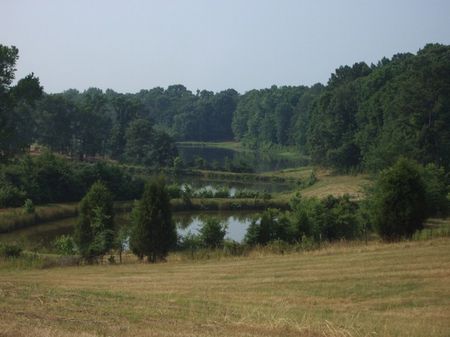 2 Acre Lots Madison, GA : Madison : Morgan County : Georgia