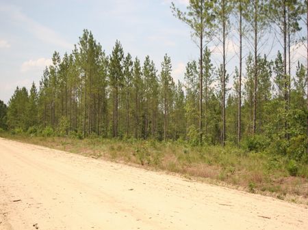 Southside : Lyons : Toombs County : Georgia
