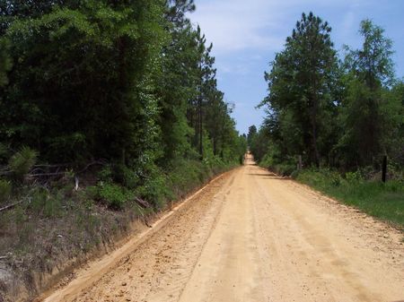 3+ Acre Lots in Treutlen : Soperton : Treutlen County : Georgia