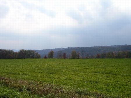 Six 5 Acre Buildable Parcels : Walton : Delaware County : New York