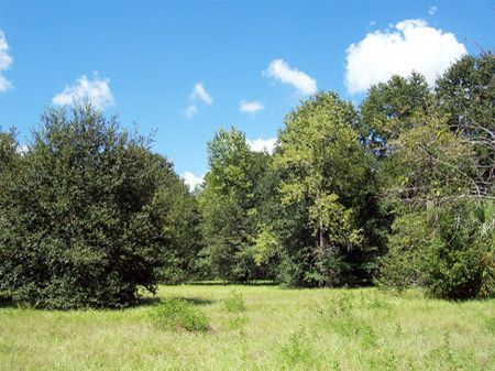 Lithia Development Acreage : Fish Hawk : Hillsborough County : Florida