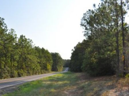 10.5 Ac Fm 62 : Corrigan : Polk County : Texas