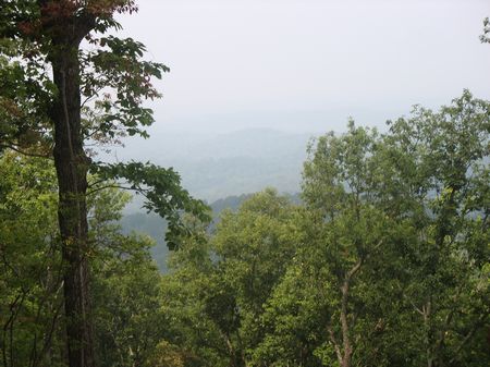 Land for Sale : Ellijay : Gilmer County : Georgia