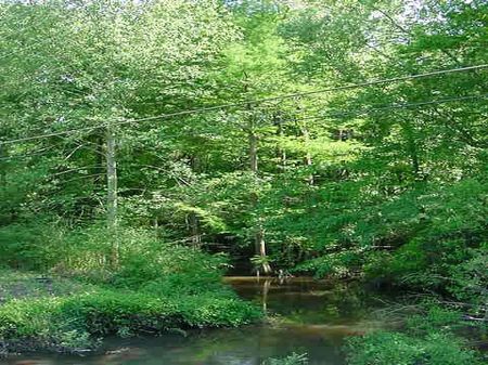 Commercial Property on Church St. : Ashford : Houston County : Alabama