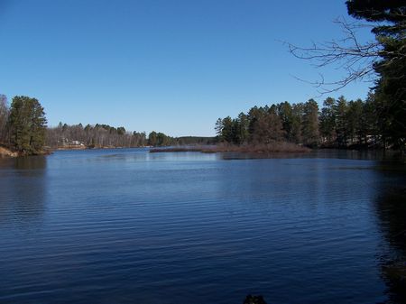 Lake Frontage in the Northwoods : Rhinelander : Oneida County : Wisconsin