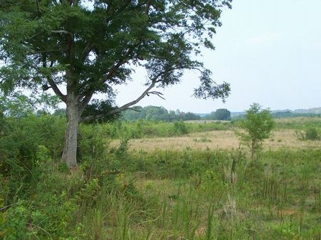 Amason Road : Lineville : Clay County : Alabama