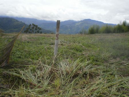 4 Lots with Grand Mountain Views : Paraiso Orosi : Costa Rica