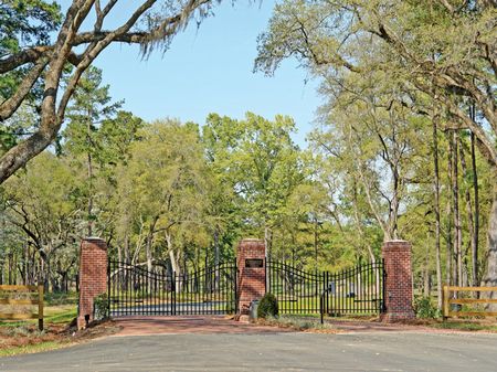 Lot O2 Centerville Conservation : Tallahassee : Leon County : Florida