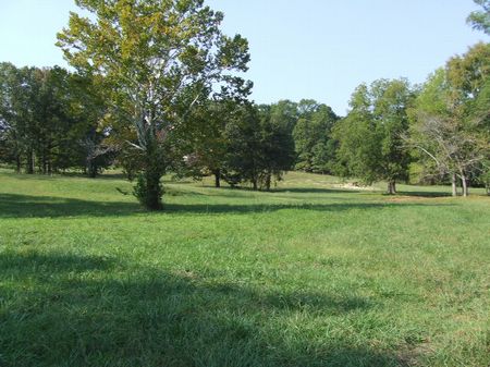 Mossy Oak Farms Tract 3 : Montgomery : Montgomery County : Alabama