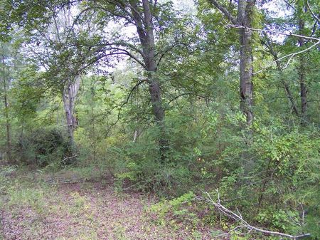 14+/- Acres Hwy 34, Lincoln : Lincoln : Talladega County : Alabama