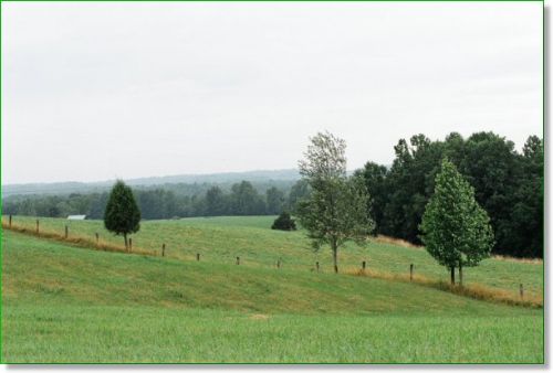 7.46 Acres Of Kentucky Bluegrass : Liberty : Casey County : Kentucky