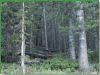 Colorado Land, Gated Community : Blanca : Costilla County : Colorado