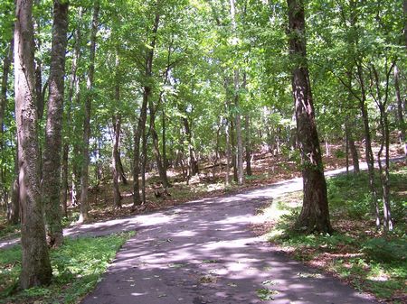 5 Ac in Pt Lookout Va Mtn Land : Independence : Grayson County : Virginia