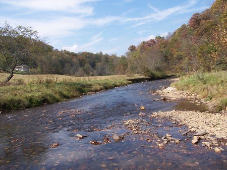 5 Tracts Burks Fork Creek Trout : Dugspur : Carroll County : Virginia