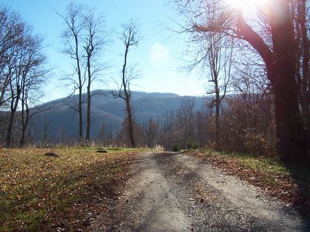 2.9 Ac Hidden Valley Lake Wooded : Independence : Grayson County : Virginia