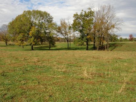 Beautfiul Home Site w/ Stocked Pond : Mathews : Montgomery County : Alabama