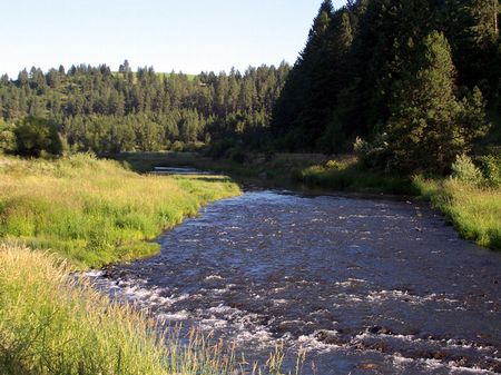 9 Acre River Adjacent Homesite : Colfax : Whitman County : Washington