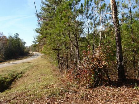 20 Acres : Wetumpka : Elmore County : Alabama