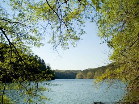 Smith Lake Waterfront Lot - New : Jasper : Winston County : Alabama