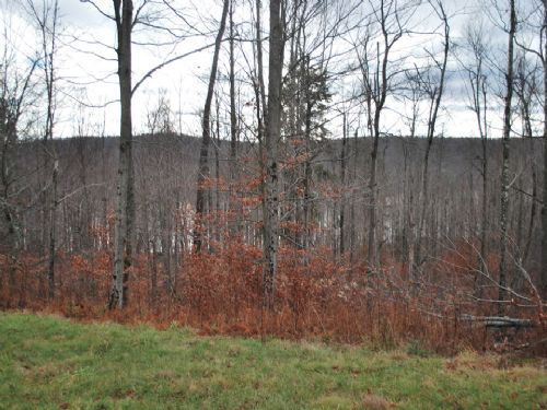 Lot 68, The Woods At Duck Harbor : Equinunk : Wayne County : Pennsylvania