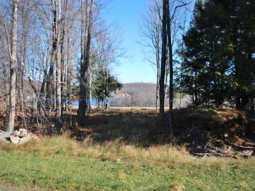 Lot 4, The Paddocks At Duck Harbor : Equinunk : Wayne County : Pennsylvania
