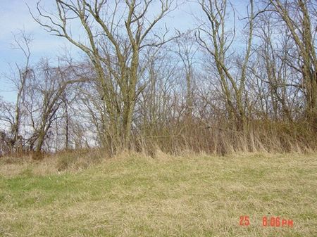 Hwy 22 Waldrop - Tract 6 : Owenton : Owen County : Kentucky