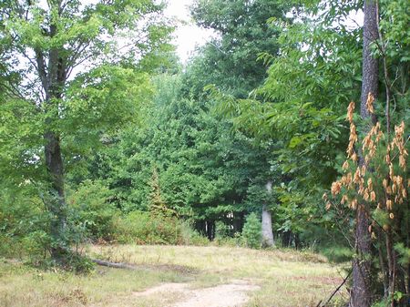 13 Tracts Of Mtn Land, Buildable : Galax : Carroll County : Virginia