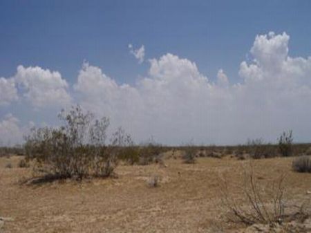 Lot 1979 California City - $2,950 : California City : Kern County : California