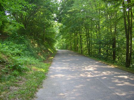 5 Wooded Acres, East TN, Terms : Sharps Chapel : Union County : Tennessee
