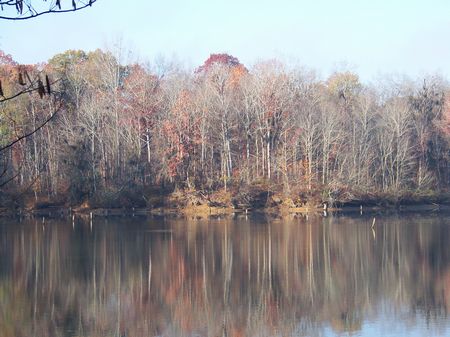 Herron Point River Village Lot 6 : Lowndesboro : Lowndes County : Alabama