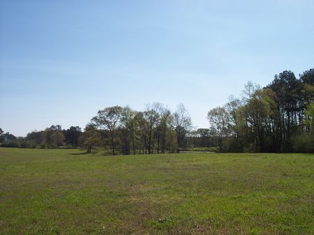 9 Acres Rolling Pasture Land : McComb : Amite County : Mississippi