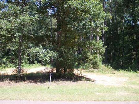 Beautiful Lot, Great Location : McComb : Pike County : Mississippi