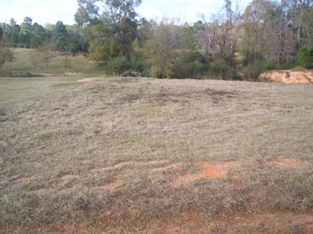3 Acre Building Lot : Mccomb : Pike County : Mississippi